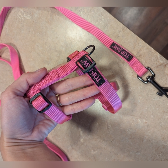 Dogs lot Harness, Leash, Toys... - Picture 12 of 15